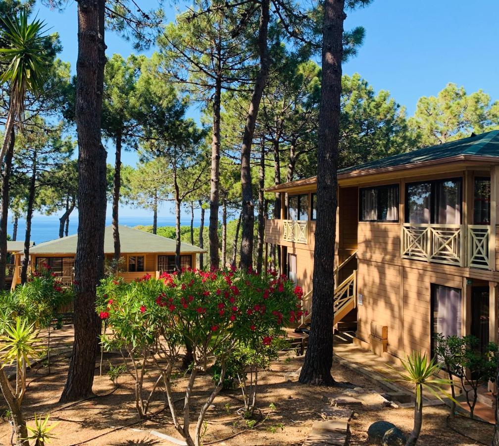 Residence Les Pins Καλβί Εξωτερικό φωτογραφία