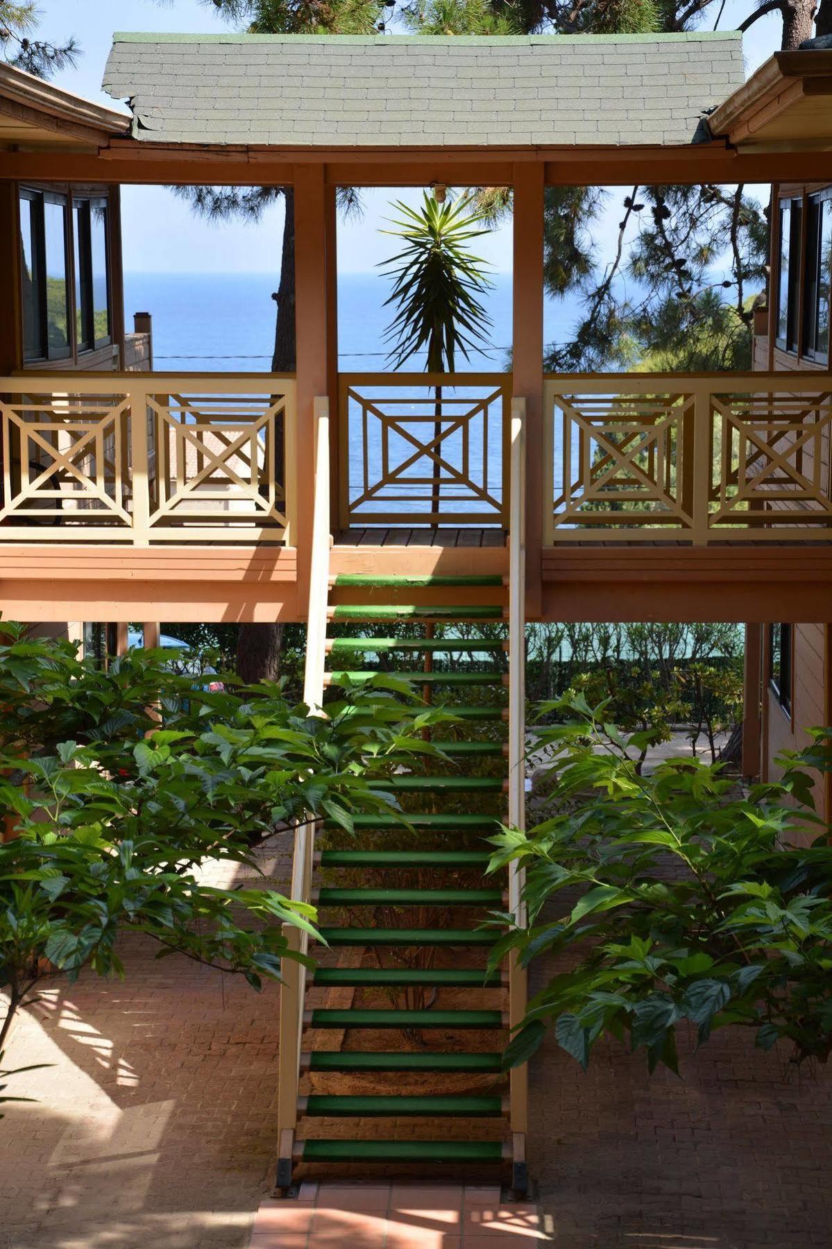Residence Les Pins Καλβί Εξωτερικό φωτογραφία