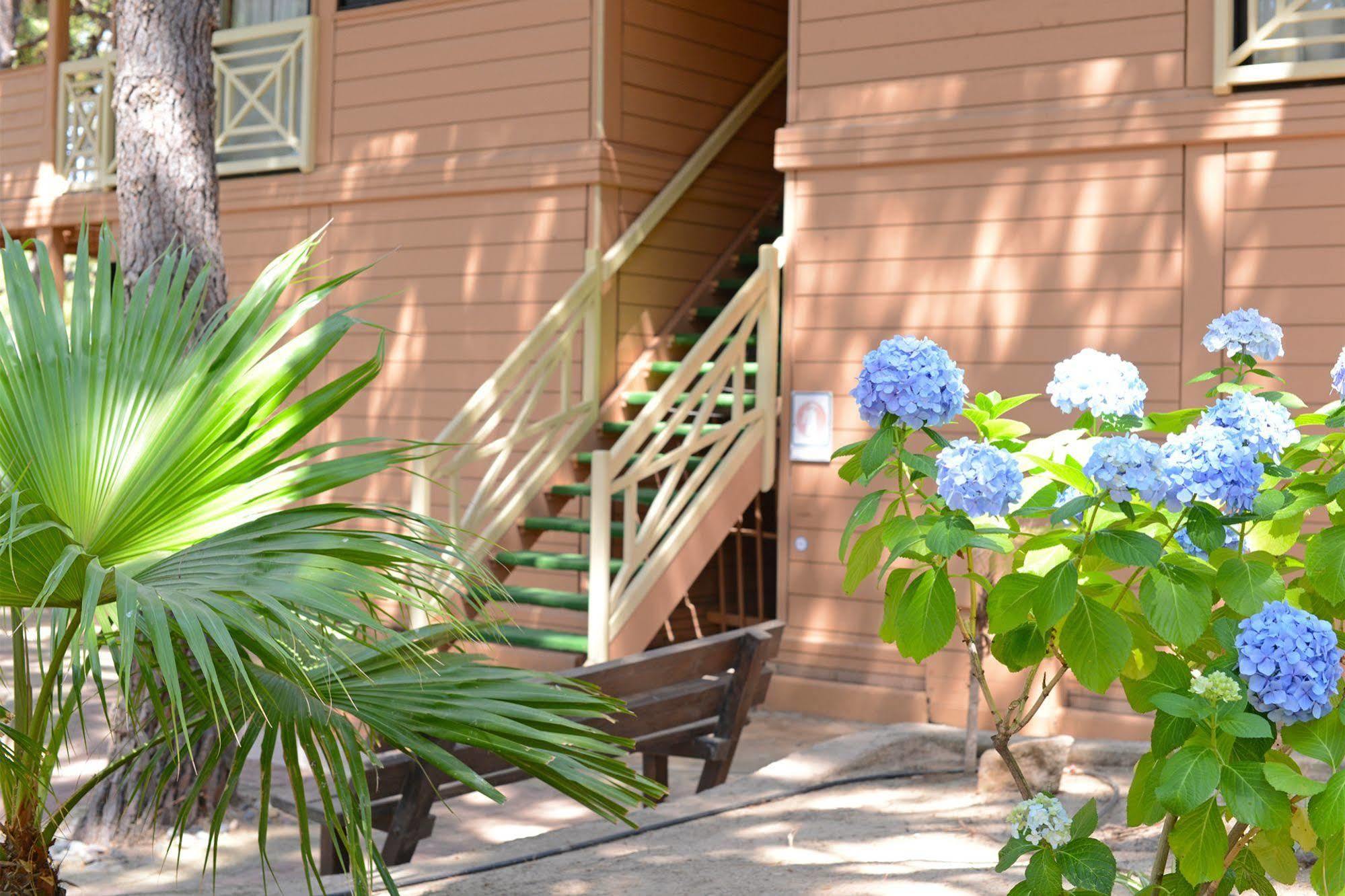 Residence Les Pins Καλβί Εξωτερικό φωτογραφία