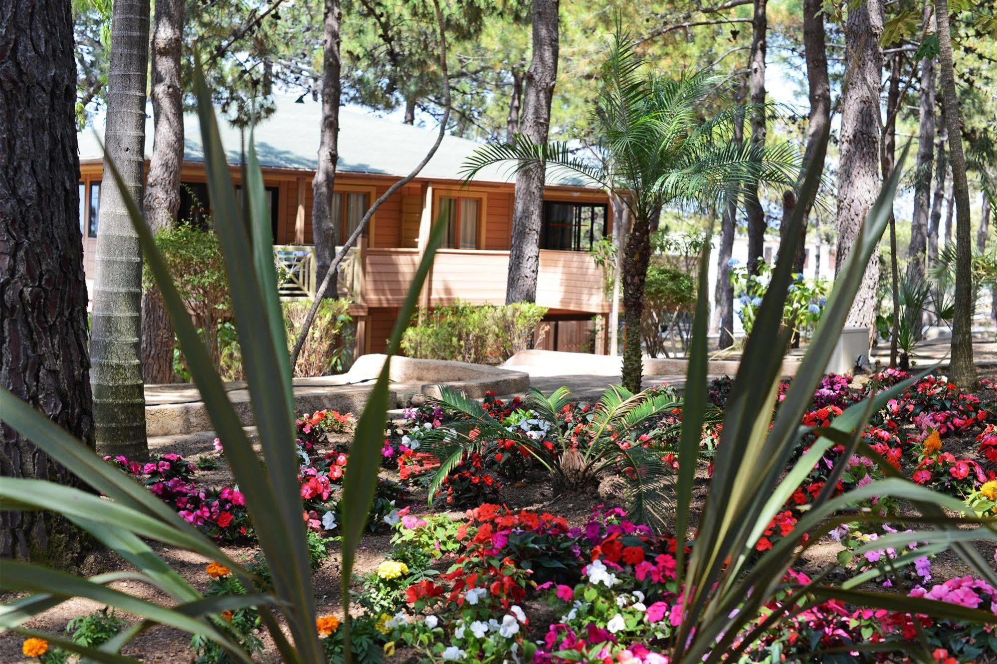 Residence Les Pins Καλβί Εξωτερικό φωτογραφία