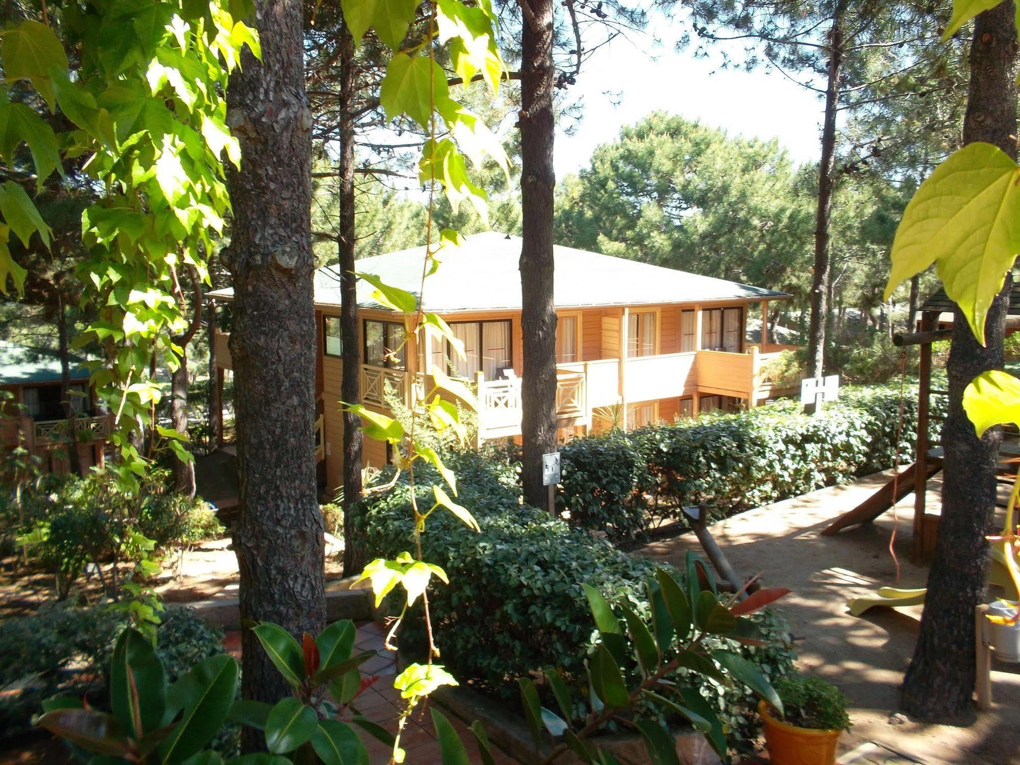 Residence Les Pins Καλβί Εξωτερικό φωτογραφία