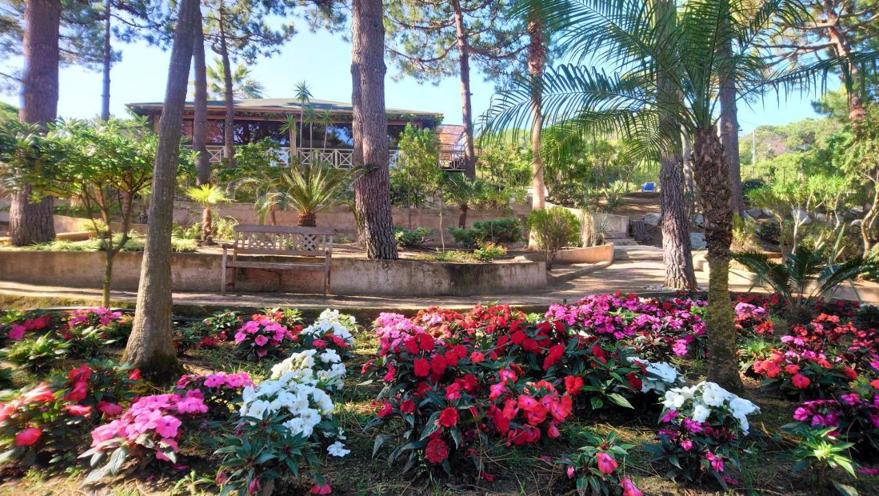 Residence Les Pins Καλβί Εξωτερικό φωτογραφία